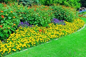Flower and Plant Bed Lawn