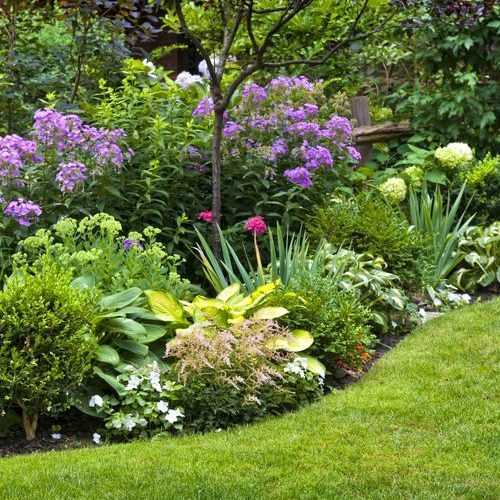 A Picture of a Lush Landscaped Garden.