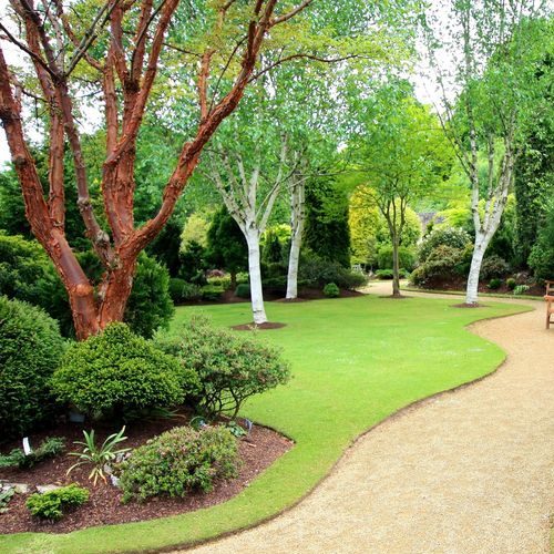 A Picture of a Nice, Green Garden.